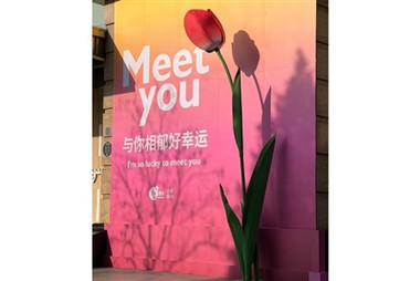 Übergroße Papierblumen